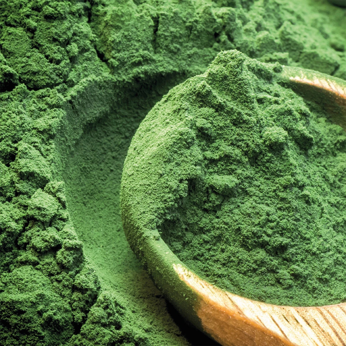 Dermochlorella active ingredient